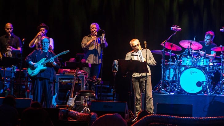 BOSTON, MA - JULY 30: Steely Dan, led by founding members Donald Fagan and Walter Becker, play a deep selection from their discography. Support from Elvis Costello and the Imposters. Shot at the Blue Hills Bank Pavilion on Thursday, July 30, 2015.  All Rights Reserved © Tim Bugbee