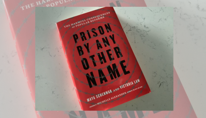 Prison by Any Other Name